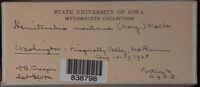 Image Associated With the Occurence